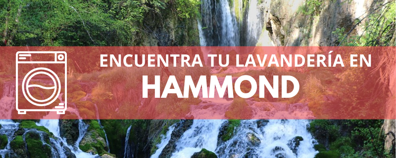 ENCUENTRA TU LAVANDERÍA EN HAMMOND