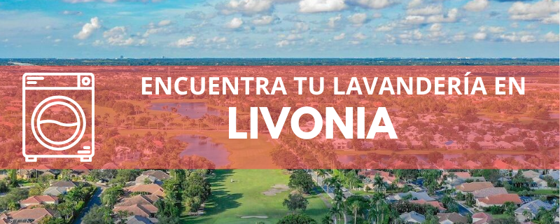 ENCUENTRA TU LAVANDERÍA EN LIVONIA