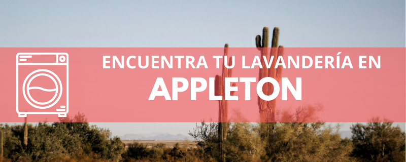 ENCUENTRA TU LAVANDERÍA EN APPLETON