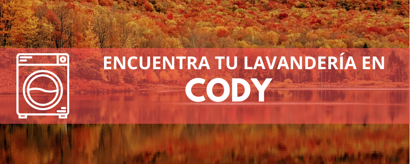 ENCUENTRA TU LAVANDERÍA EN CODY